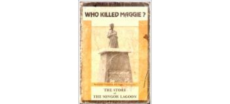 The Tragedy of Natural Resource Privatisation: Story of Ada Salt Mining Industry