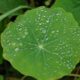 Green industry: ideas for eco-minded entrepreneurs