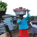 Women and Entrepreneurship in the Democratic Republic of Congo