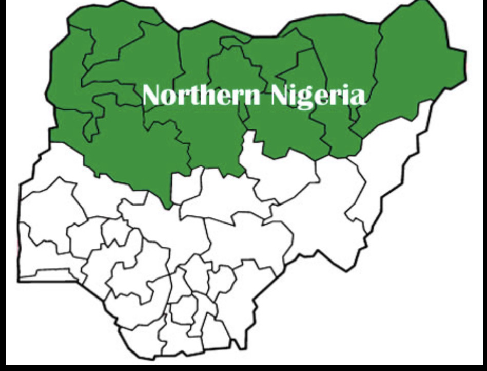 Defying the odds: northern Nigerian female entrepreneurs and their challenges