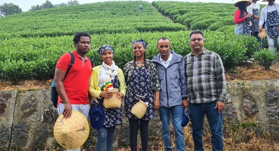 Relationship between project quality and project partnership management.