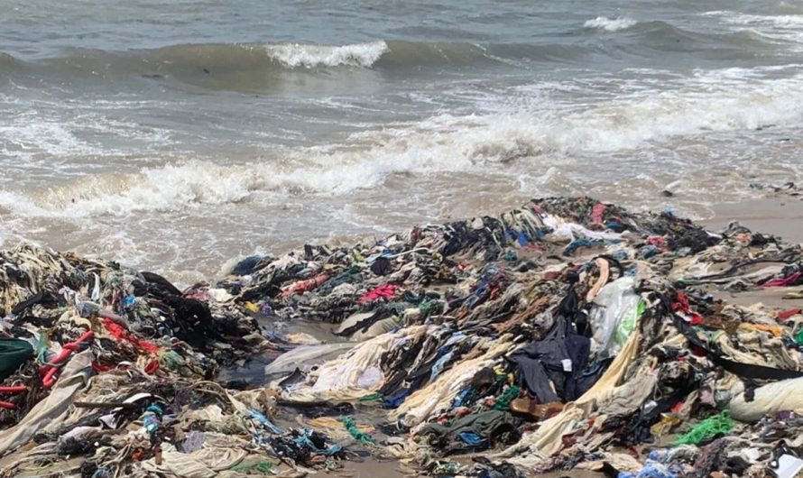 Learning to manage waste sustainably