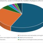 Economic Development in Ethiopia: A General Understanding of Ethiopia’s Growth in the 21st Century