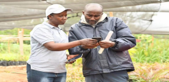Kenyan Agri-FinTech: Mobile Lending Solves Financing Woes Without Formal Land Titles